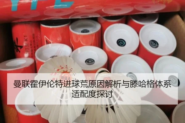 曼联霍伊伦特进球荒原因解析与滕哈格体系适配度探讨